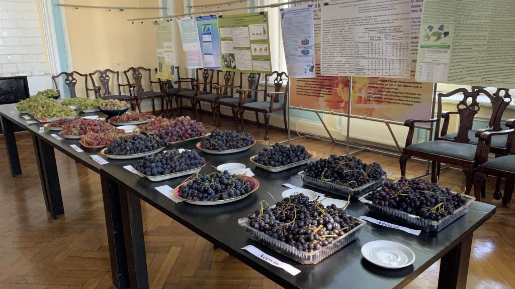 Фото с конференции 2022 - 2